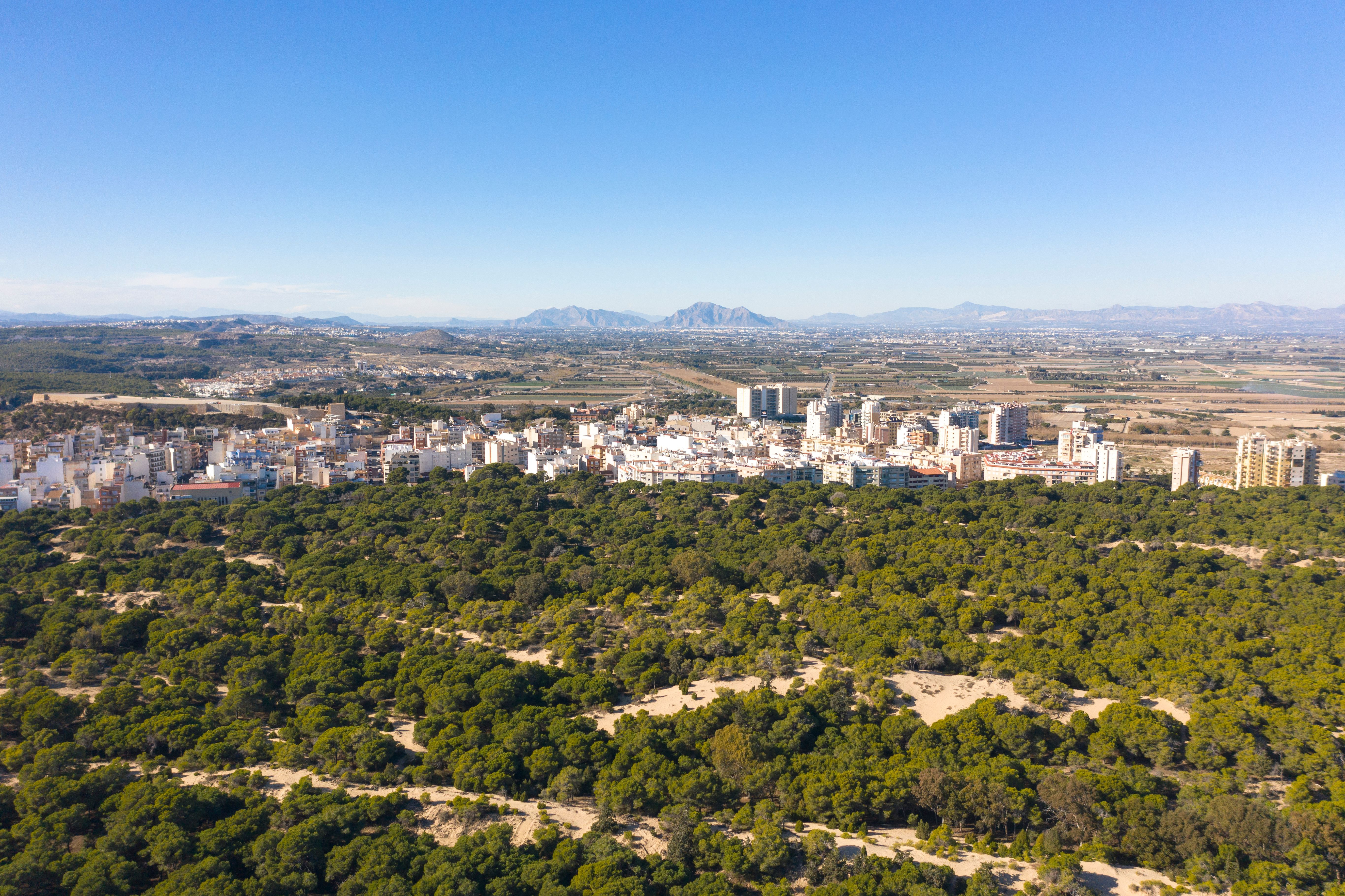 Dehesa de Campoamor