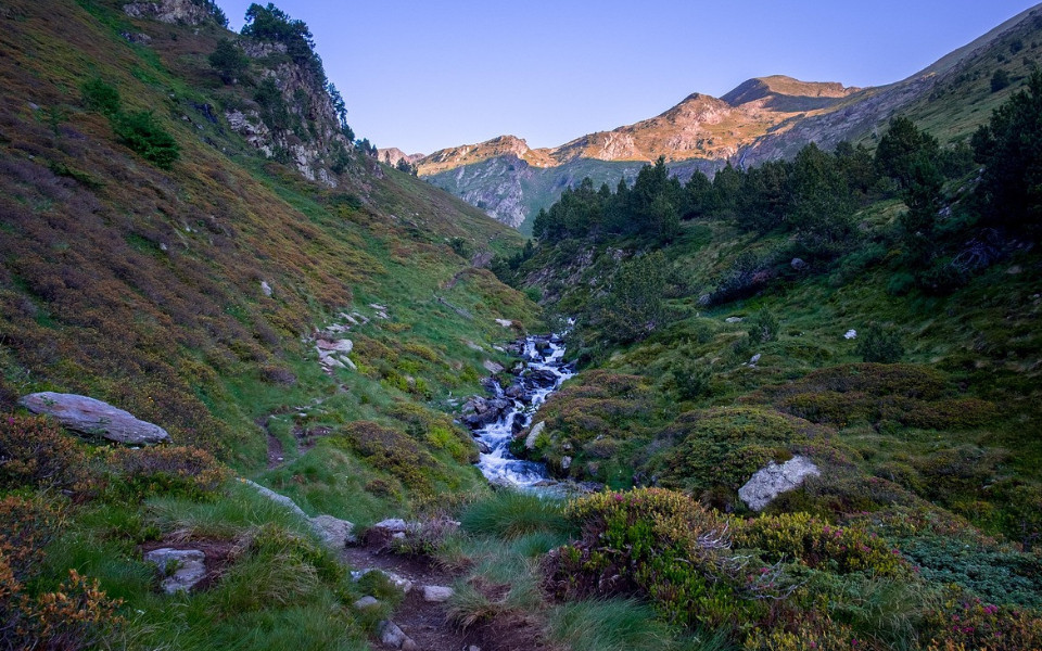 Encamp